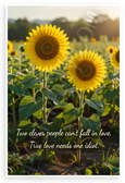 "Two Clever People Can’t Fall in Love, True Love Needs One Idiot" Sunflower Field Inspirational 12x18 US Made Poster