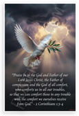 2 Corinthians 1:3-4 Praise Be to God Father of Compassion Quote Dove Olive Branch 12x18 US Made Poster
