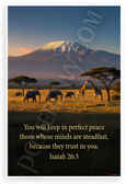 Isaiah 26:3 "You Will Keep in Perfect Peace" African Savanna Inspirational 12x18 US Made Poster
