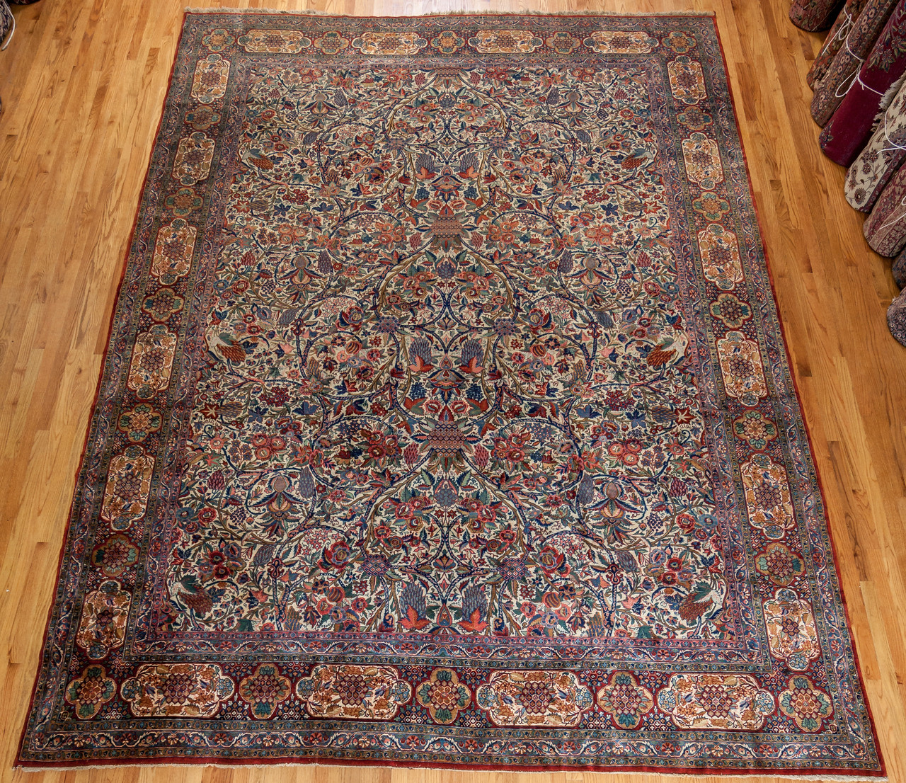 Kashan Ivory 10’4”x14’4”