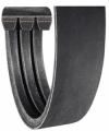 D Multi-Banded Belts
