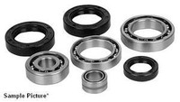 Honda TRX400FW FourTrax Foreman 4x4 ATV Front Differential Bearing Kit 2003