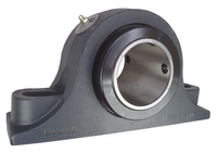 3" Type-E Heavy Duty Two Bolt Pillow Block Bearing 19321300