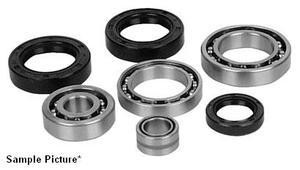 Kawasaki KLF300 Bayou 300 ATV Rear Differential Bearing Kit 1986-1987