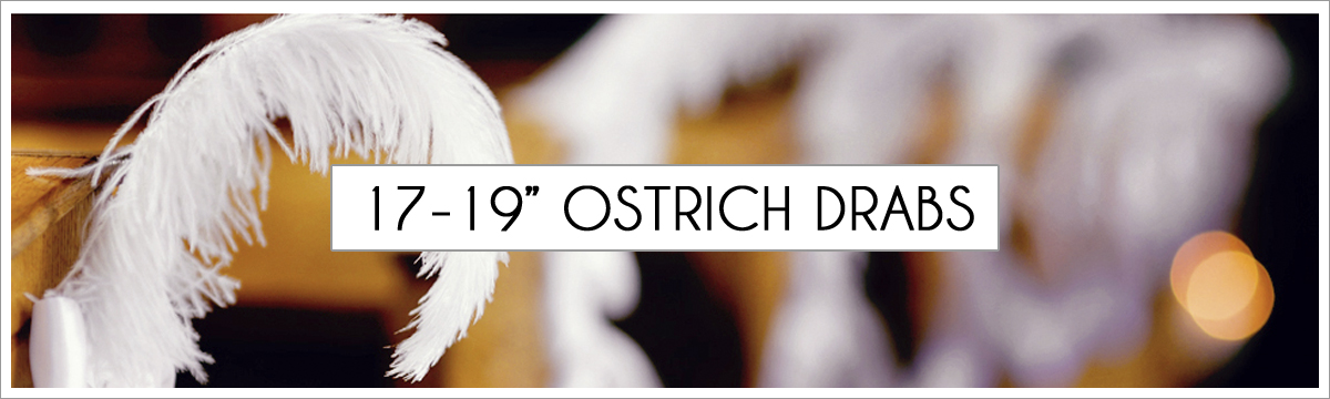 17-to-19-ostrich-header-picture-edited-1.jpg