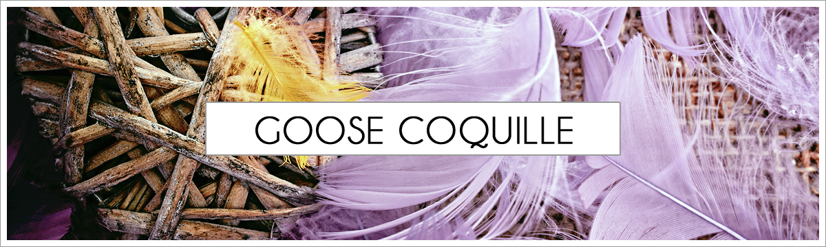 goose-coquille-main-picture-header2.jpg