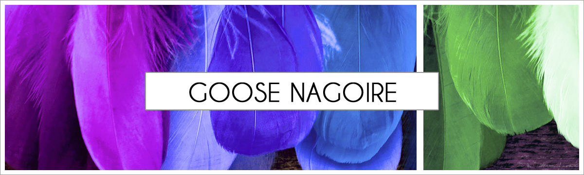 goose-nagoire-main-picture-header2.jpg