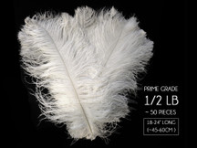 1/2 Lb - 18-24" White Prime Grade Large Ostrich Wing Plume Wholesale Feathers (Bulk)