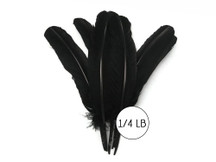 1/4 Lb - Black Turkey Tom Rounds Secondary Wing Quill Wholesale Feathers (Bulk)