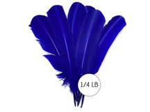 1/4 Lb - Royal Blue Turkey Tom Rounds Secondary Wing Quill Wholesale Feathers (Bulk)