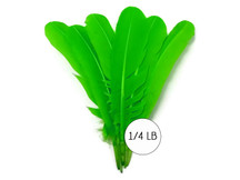 1/4 Lb - Lime Green Turkey Tom Rounds Secondary Wing Quill Wholesale Feathers (Bulk)