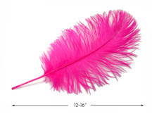 10 Pieces -  12-16" Hot Pink Dyed Ostrich Tail Fancy Feathers