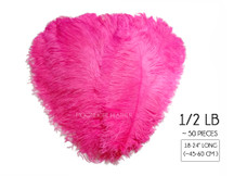 1/2 Lb. - 18-24" Hot Pink Large Ostrich Wing Plume Wholesale Feathers (Bulk)