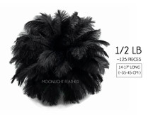 1/2 Lb - 14-17" Black Ostrich Large Drab Wholesale Feathers (Bulk)