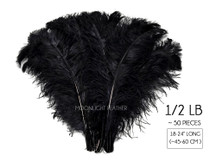1/2 Lb. - 18-24" Black Large Ostrich Wing Plume Wholesale Feathers (Bulk)