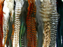 50 Pieces - Natural Thick Long Rooster Saddle Whiting Farm Hair Extension Wholesale Feathers (Bulk)