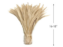 1/2 lbs. - 16-18" Ivory Strung Natural Bleached Rooster Coque Tail Wholesale Feathers (Bulk)