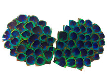 1 Piece - Blue Peacock Triangle Eye Feather Pad