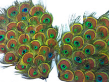 1 Piece - Natural Green Iridescent Peacock Tiny Eyes Handmade Feather Pad