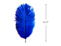 10 Pieces - 14-17" Royal Blue Ostrich Dyed Drab Body Feathers