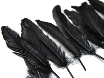 1/4 Lb - Black Goose Satinettes Wholesale Loose Feathers (Bulk)