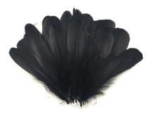 1/4 Lb - Black Goose Nagoire Wholesale Feathers (Bulk)