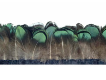 1 Yard - Green Bronze Lady Amherst Pheasant Tippet Feather Trim