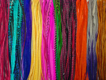 50 Pieces - Colorful Thin Long Whiting Farms Rooster Saddle Hair Extension Wholesale Feathers (Bulk)