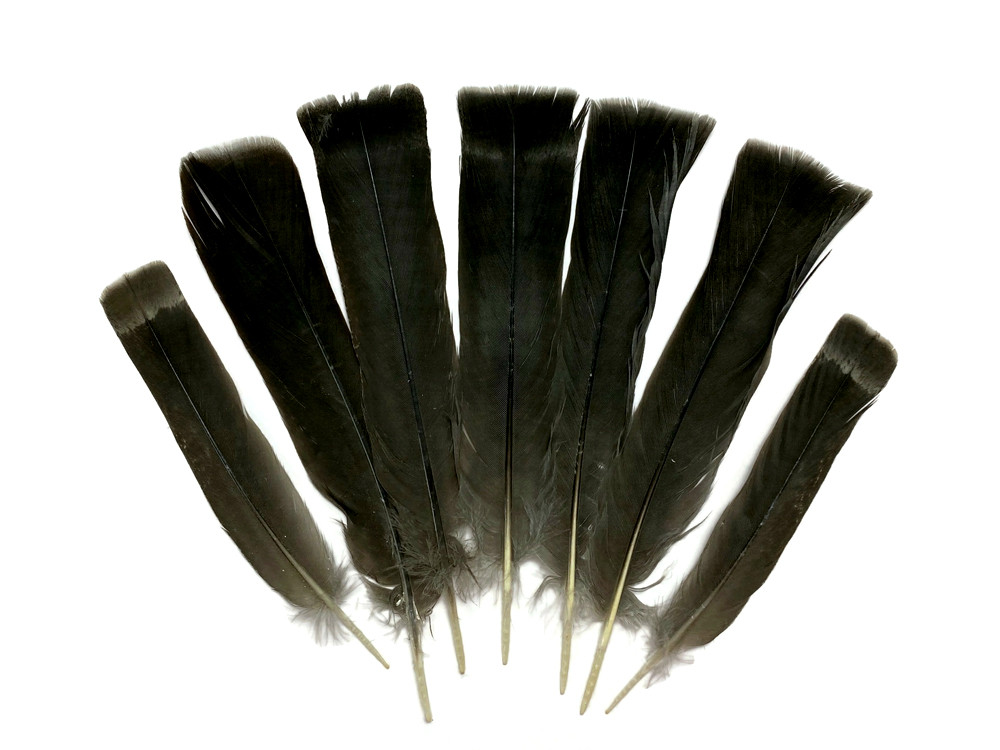 1 Pair Purple Peacock Eye Feathers | Moonlight Feather
