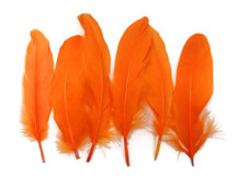 1 Pack - Orange Goose Satinettes Loose Feathers 0.3 Oz.