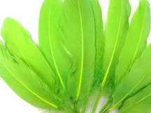 1/4 Lb - Lime Green Goose Satinettes Wholesale Loose Feathers (Bulk)