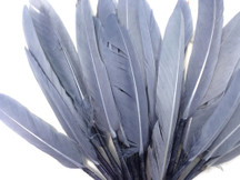 1/4 Lb. - Silver Gray Dyed Duck Cochettes Loose Wing Quill Wholesale Feather (Bulk)
