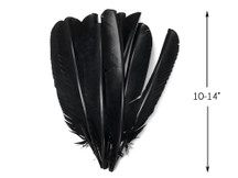 1/4 Lb - Black Turkey Pointers Primary Wing Quill Large Wholesale Feathers (Bulk)