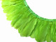 Lime Green Goose Nagoire And Satinettes Feather Trim