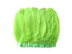 Bright green soft thick strip of feathers