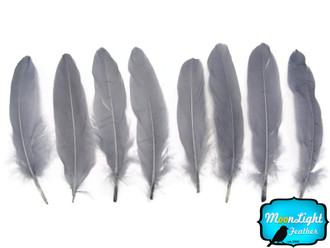 Grey Goose Satinettes Wholesale Loose Feathers (Bulk)