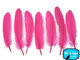 Bright pink medium sized craft feathers