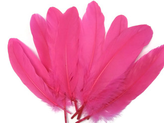 Neon pink wispy goose feathers