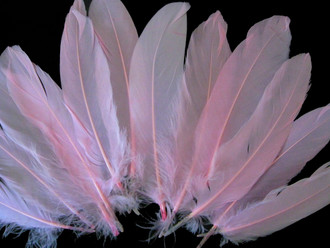  Baby Pink Goose Satinettes Wholesale Loose Feathers (Bulk)