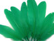 Kelly Green Goose Satinettes Wholesale Loose Feathers (Bulk)