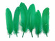 Bright green soft goose feathers
