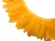  Gold Goose Nagoire And Satinettes Feather Trim