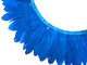 Blue Goose Nagoire And Satinettes Feather Trim