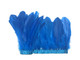 Turquoise blue shiny full feather trim