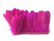 Fluorescent pink short feather trim