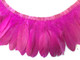 Neon pink classic strip of feathers