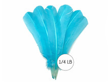 1/4 Lb - Light Blue Turkey Tom Rounds Secondary Wing Quill Wholesale Feathers (Bulk)
