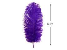 10 Pieces - 17-19" Purple Large Bleached & Dyed Ostrich Drabs Body Feathers