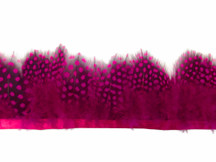 Hot Pink Guinea Hen Plumage Feather Trim