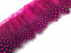 Bright pink fluffy dotted strip of feathers
